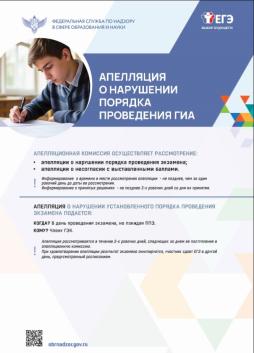 ЕГЭ 11 Апелляция